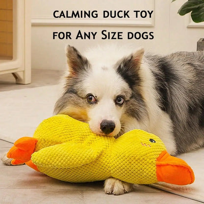 🐾 Calming Duck 🦆 – Das ultimative beruhigende Hundespielzeug! - EasyGoodies