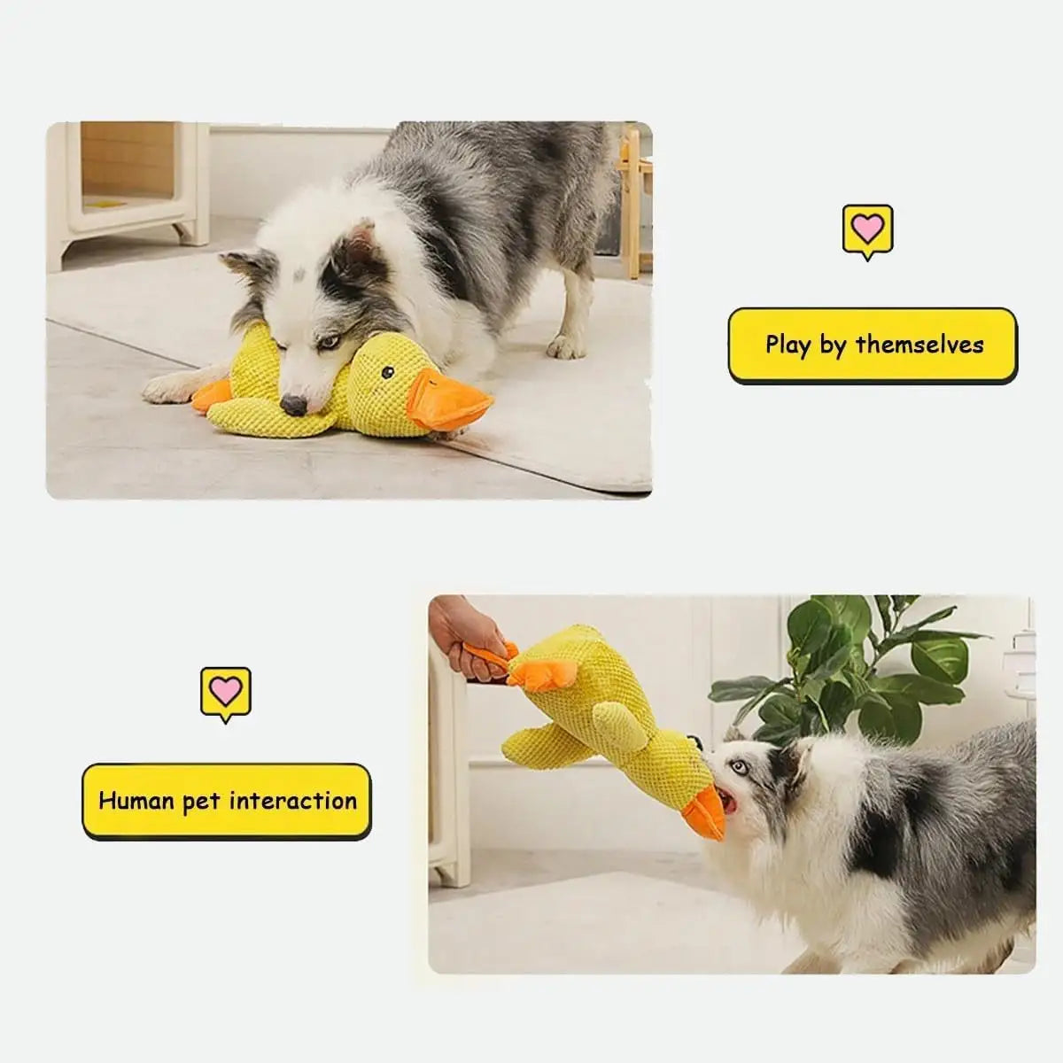 🐾 Calming Duck 🦆 – Das ultimative beruhigende Hundespielzeug! - EasyGoodies