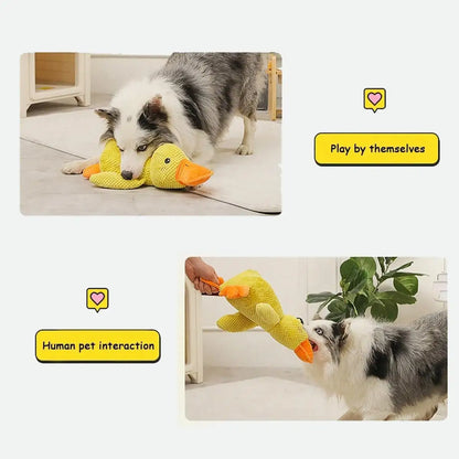 🐾 Calming Duck 🦆 – Das ultimative beruhigende Hundespielzeug! - EasyGoodies