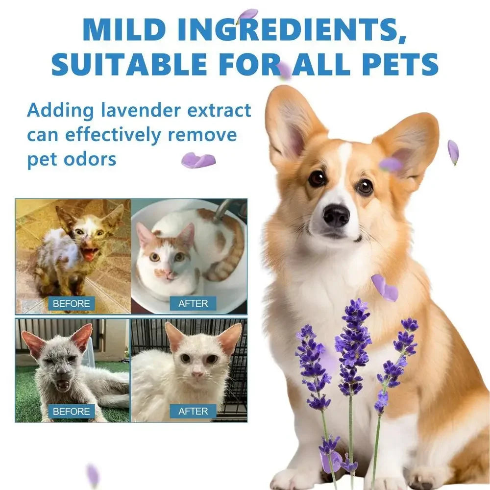 elektrische Dampf-Bürste für 😺Katzen und 🐶Hunde für Massage, Fellpflege und Haarentfernung - EasyGoodies