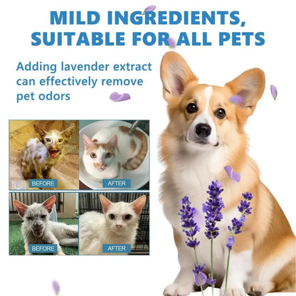 elektrische Dampf-Bürste für 😺Katzen und 🐶Hunde für Massage, Fellpflege und Haarentfernung - EasyGoodies
